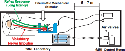 Robotic rehabilitation exercise in hemiparetic limbs based on functional synchronization of voluntary and involuntary nerve impulses